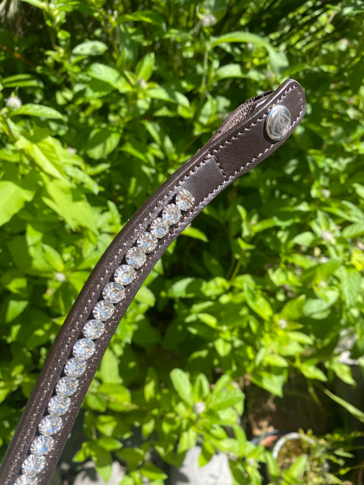 Glacier Mint Browband in Black or Brown leather