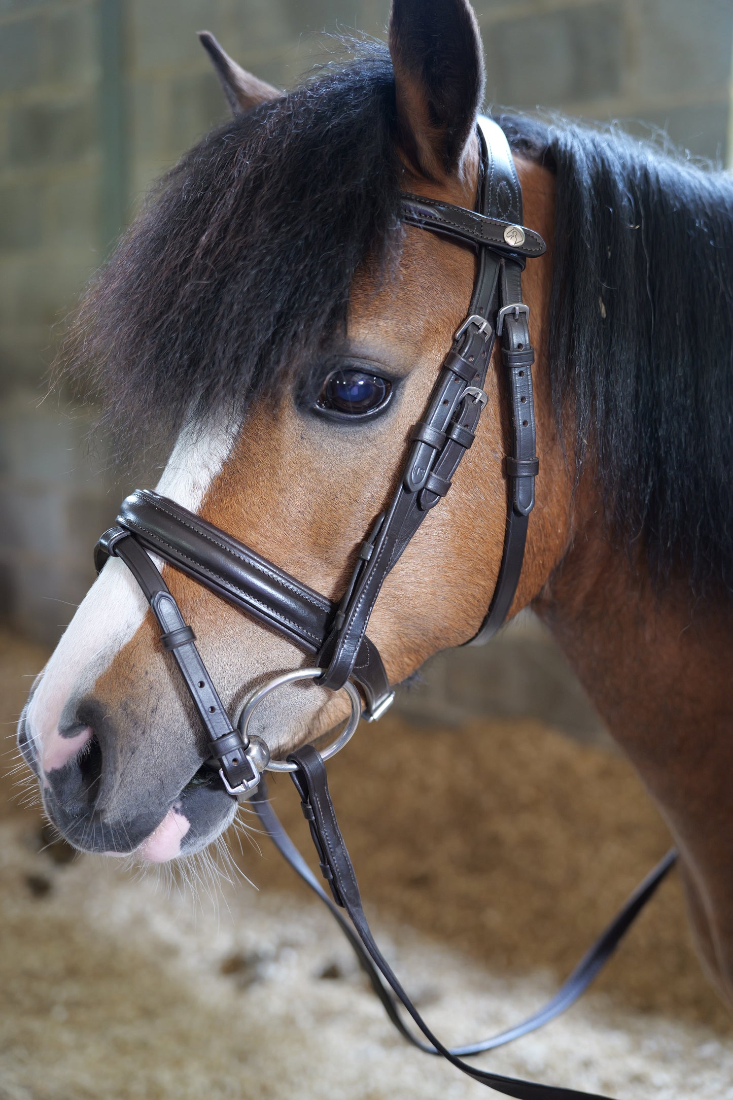 Kilkenny Bridle - Small Pony, Pony, Cob, Full & X-Full