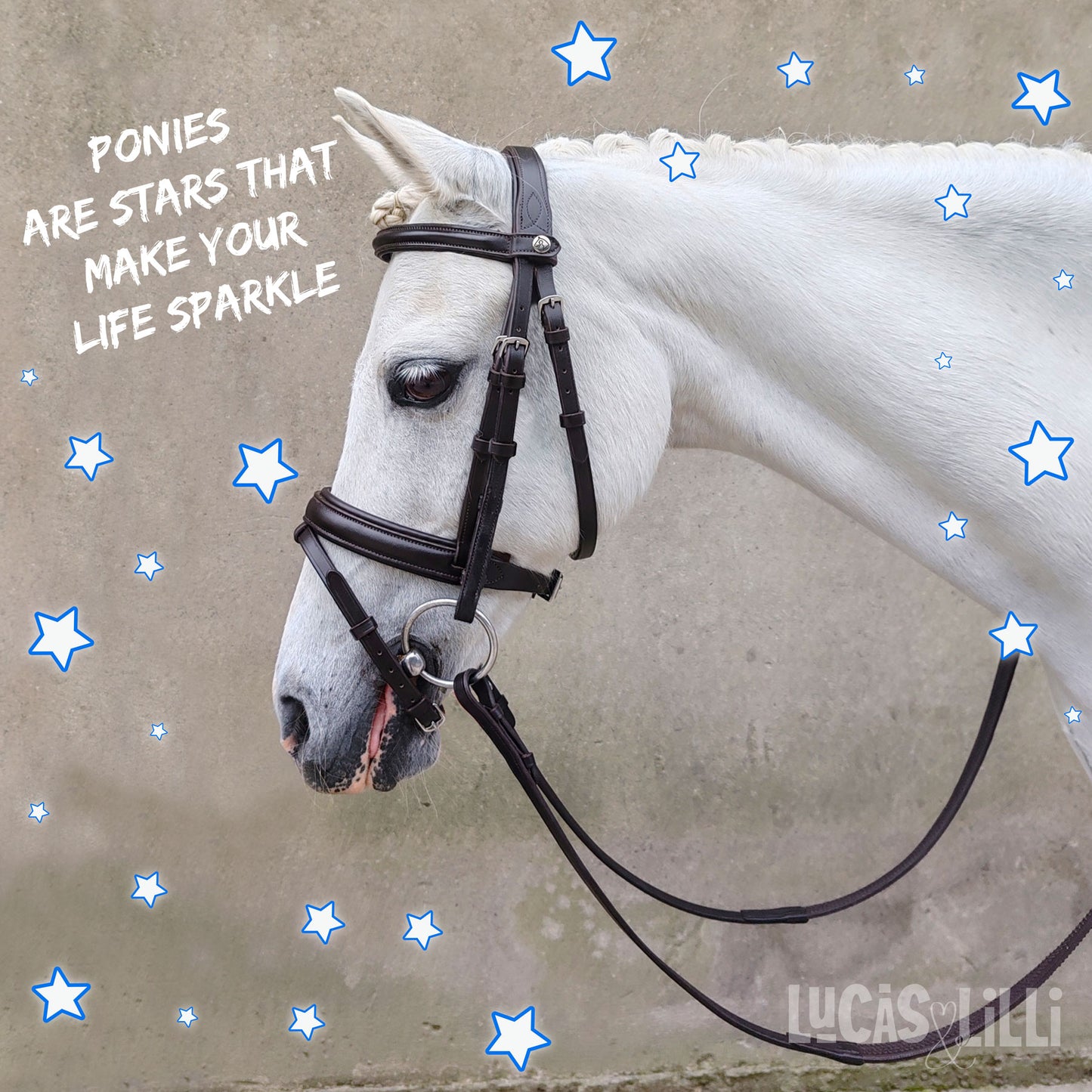 Kilkenny Bridle - Small Pony, Pony, Cob, Full & X-Full